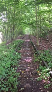 Sinntalbahn bei Römershag 2016